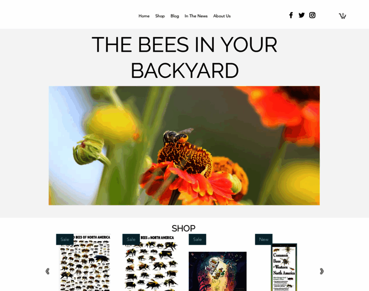 Beesinyourbackyard.com thumbnail