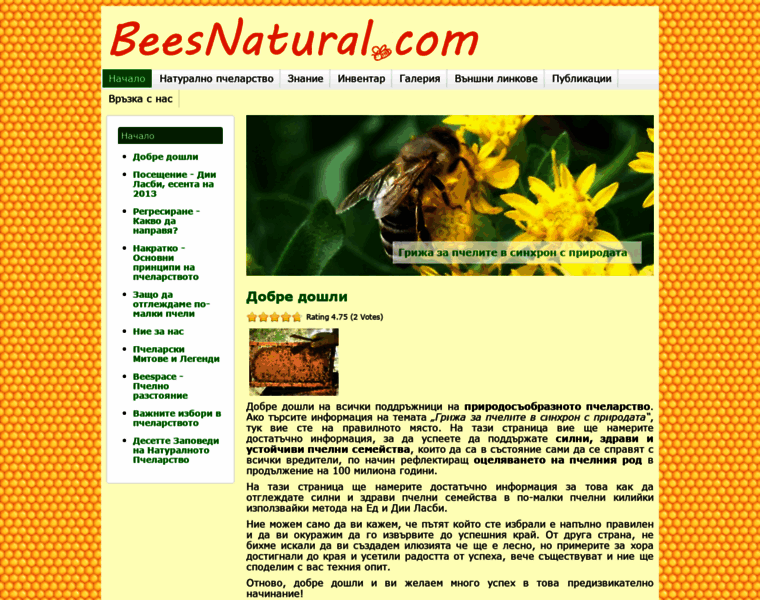 Beesnatural.com thumbnail