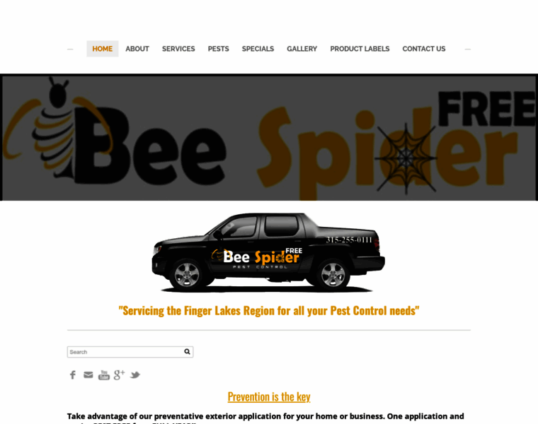 Beespiderfree.com thumbnail