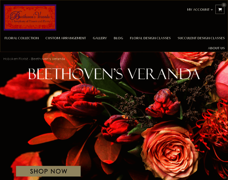 Beethovensveranda.com thumbnail