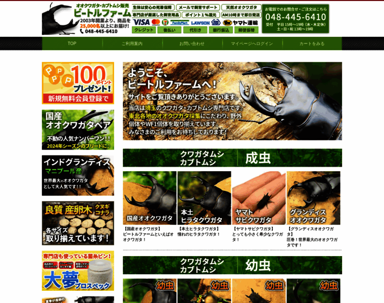 Beetle-farm.com thumbnail