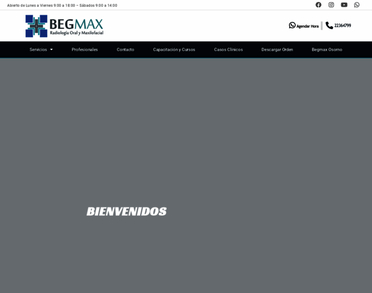 Begmax.cl thumbnail