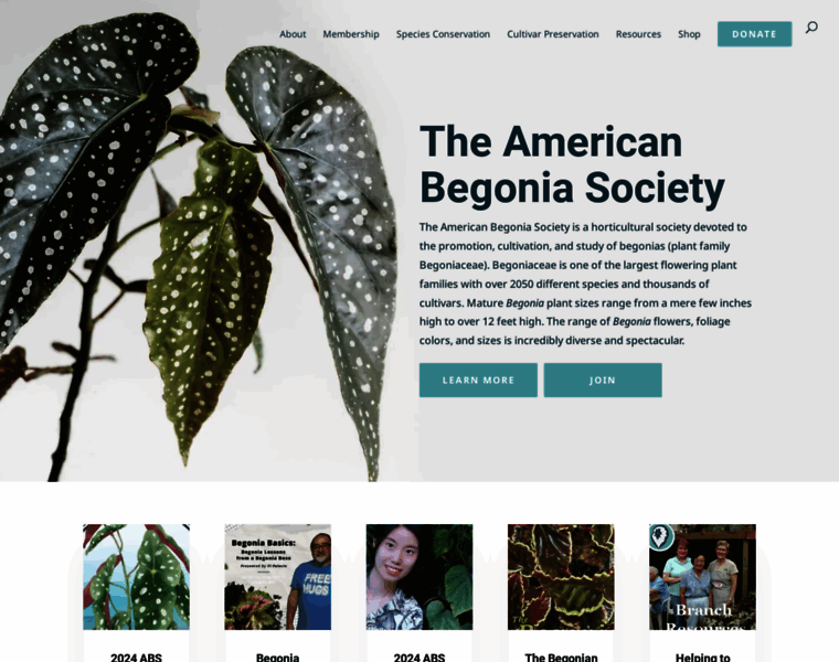 Begonias.org thumbnail