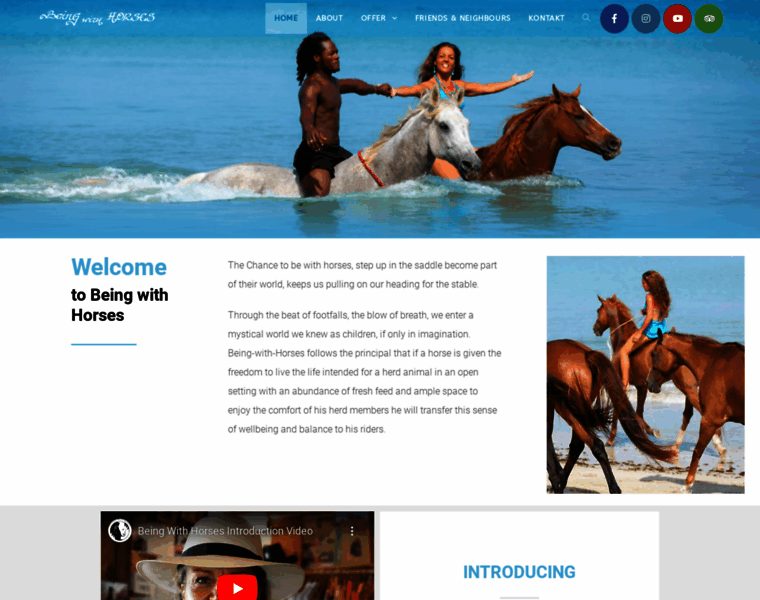 Being-with-horses.com thumbnail