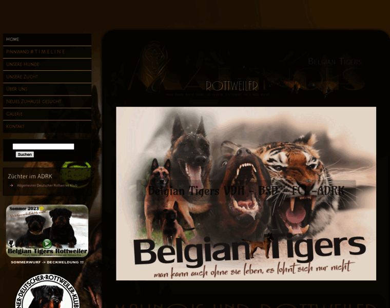Belgian-tigers.de thumbnail