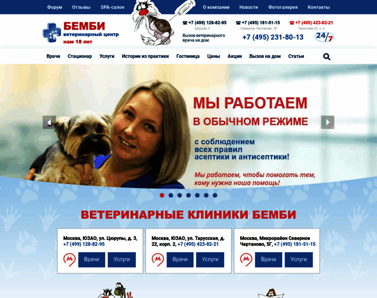 Bembivet.ru thumbnail