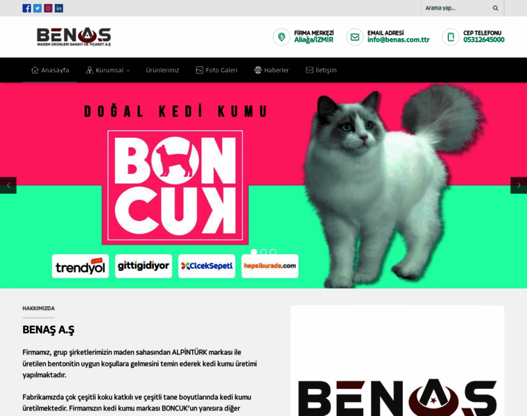 Benas.com.tr thumbnail