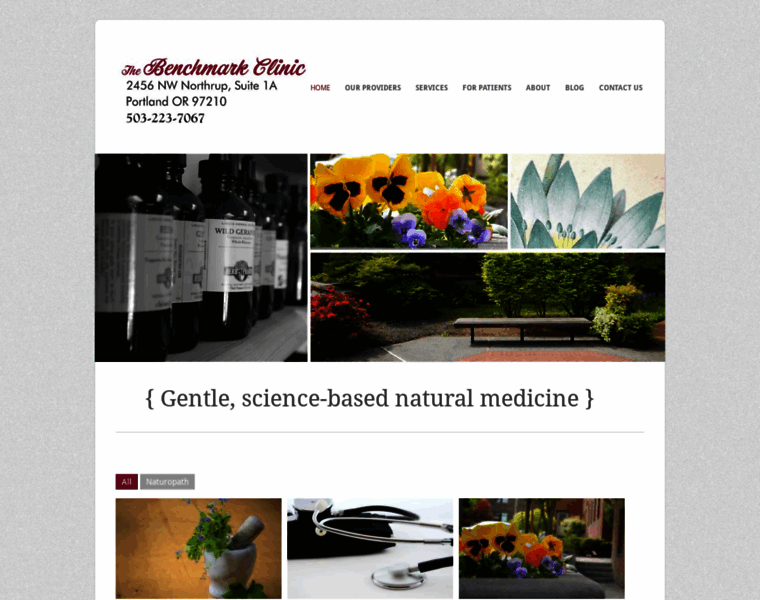 Benchmarkclinic.com thumbnail