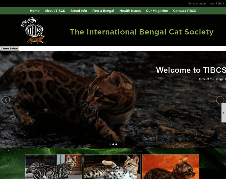 Bengalcat.com thumbnail