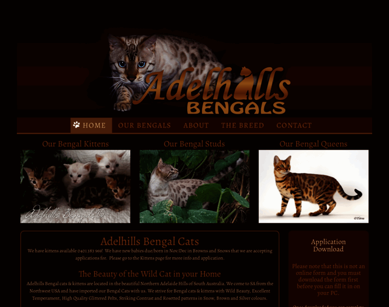 Bengalcatbreeder.com.au thumbnail