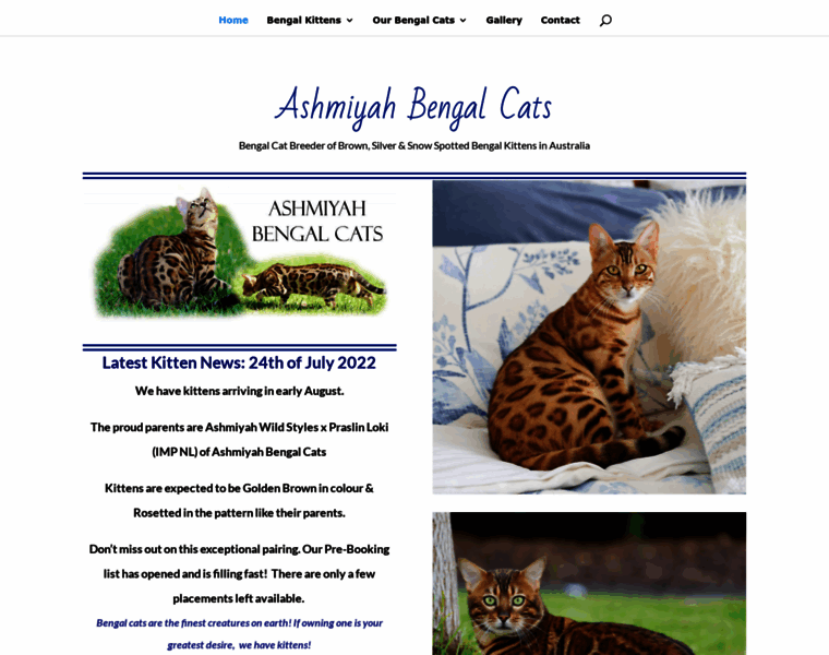 Bengalcatsaustralia.com thumbnail