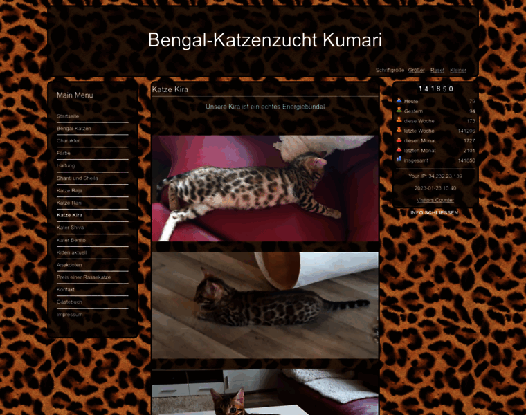 Bengalkatzenzucht-kumari.de thumbnail