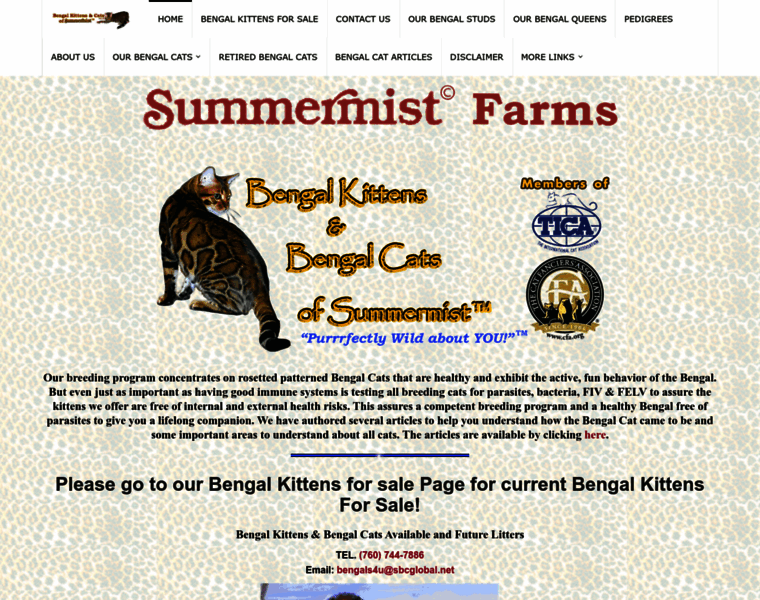 Bengalkittens.org thumbnail