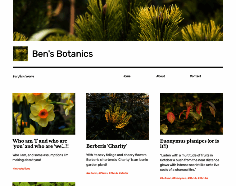 Bensbotanics.co.uk thumbnail