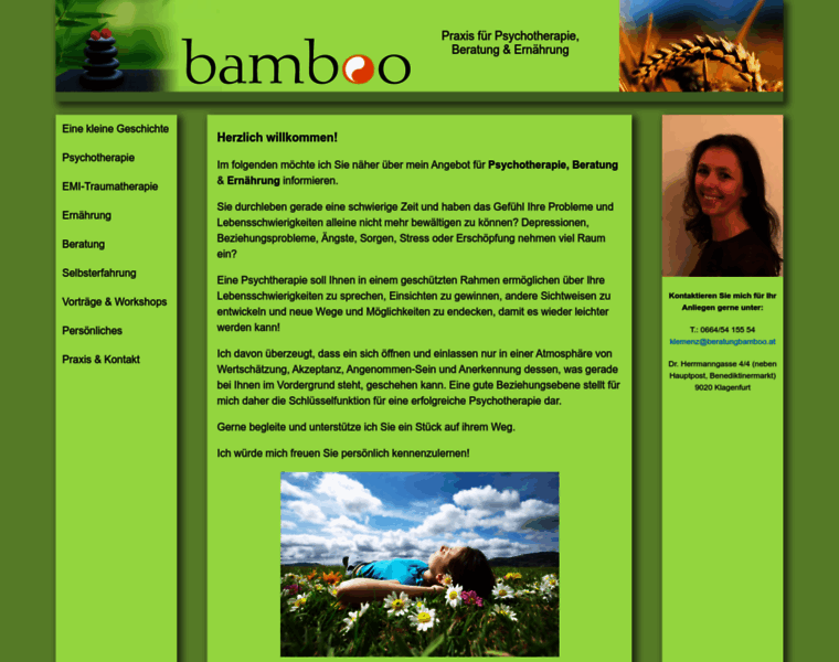 Beratungbamboo.at thumbnail