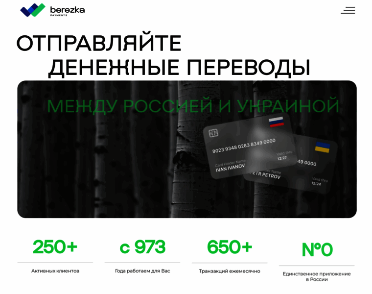 Berezka-payments.com thumbnail