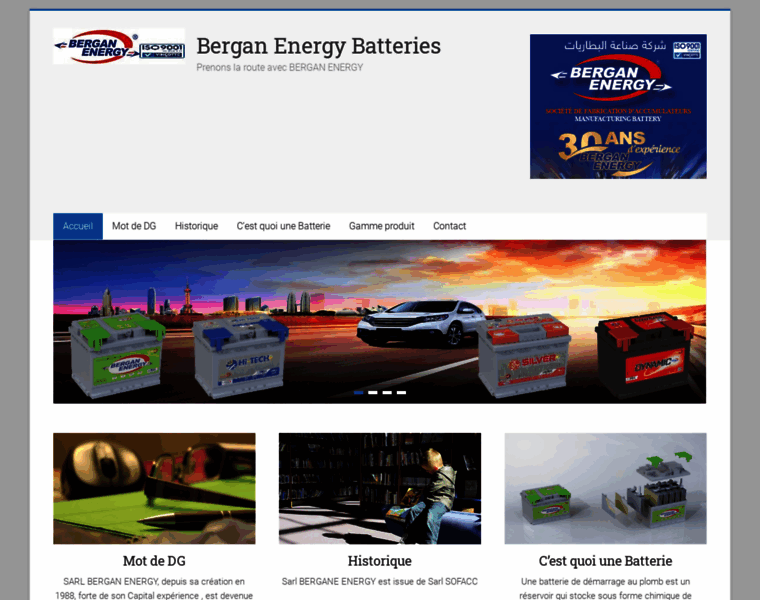 Bergan-energy.com thumbnail