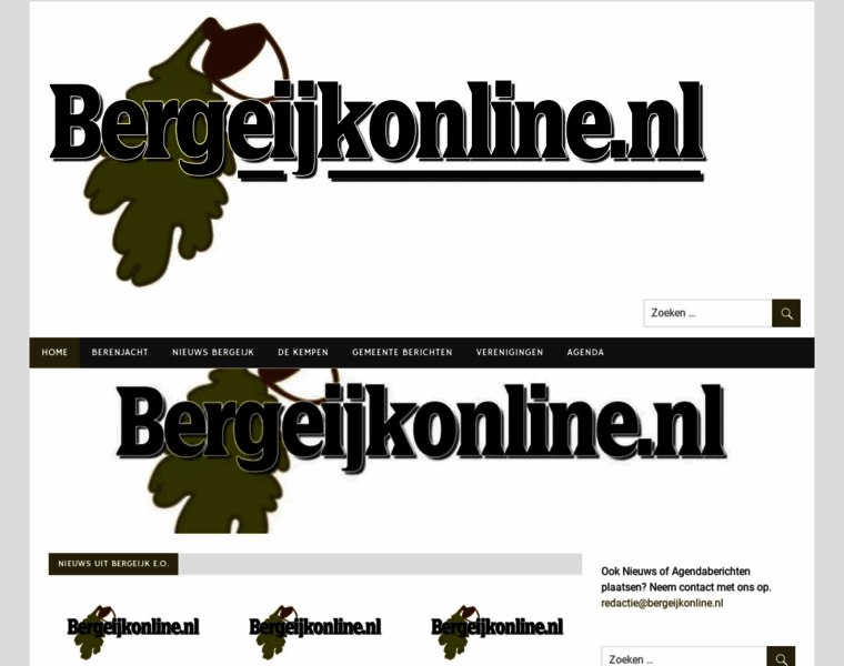 Bergeijkonline.nl thumbnail