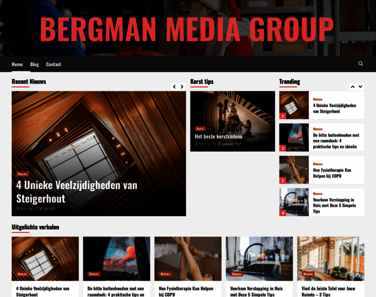 Bergmanmediagroup.nl thumbnail