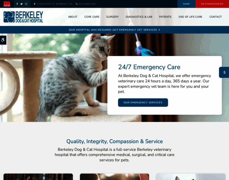 Berkeleydogandcat.com thumbnail Berkeleydogandcat.com thumbnail