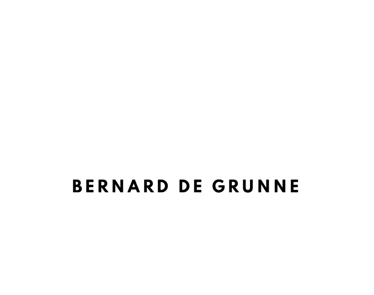 Bernarddegrunne.com thumbnail