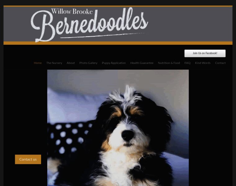 Bernedoodles.ca thumbnail