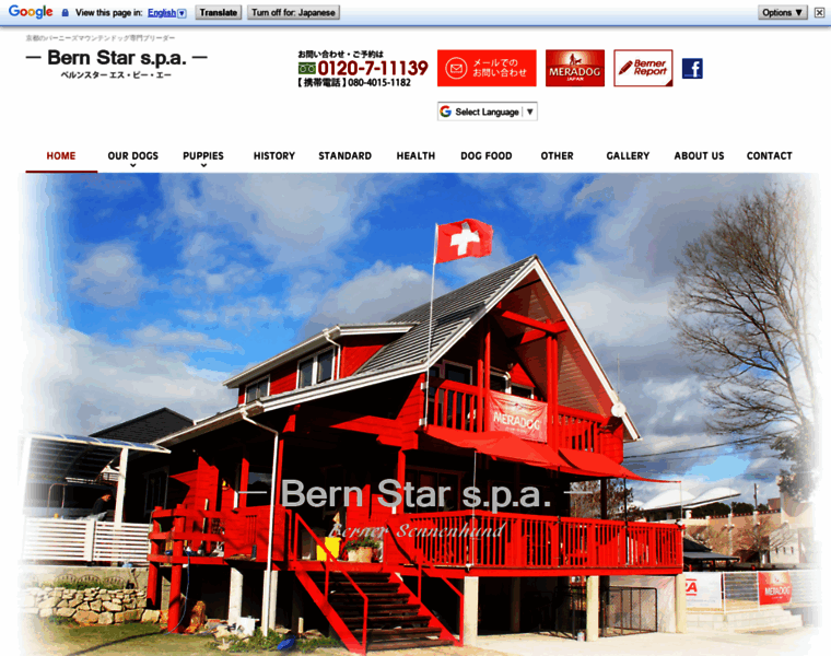 Bernstar-spa.com thumbnail