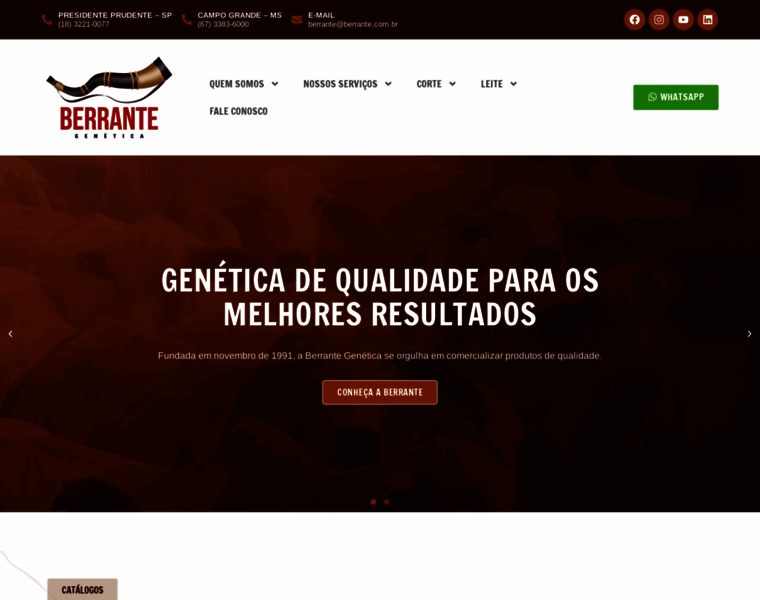Berrante.com.br thumbnail
