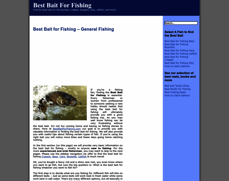 Bestbaitforfishing.com thumbnail