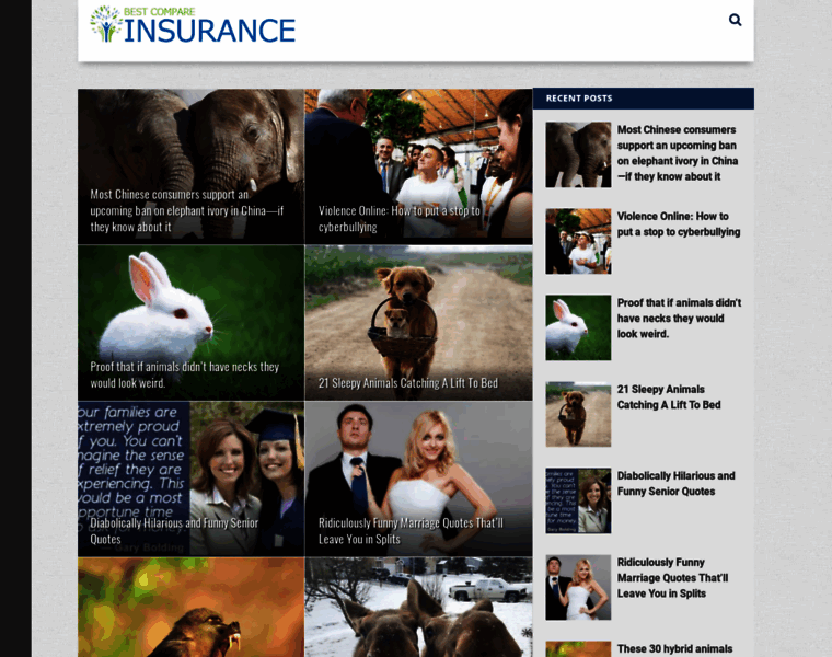 Bestcompareinsurance.com thumbnail