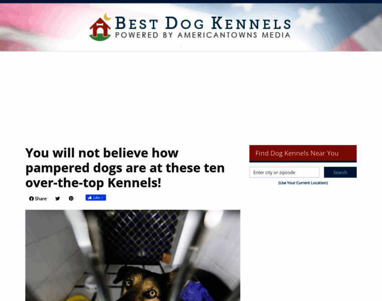 Bestdogkennels.info thumbnail