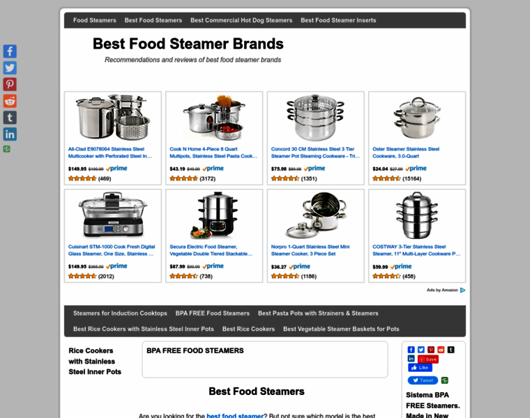 Bestfoodsteamerbrands.com thumbnail