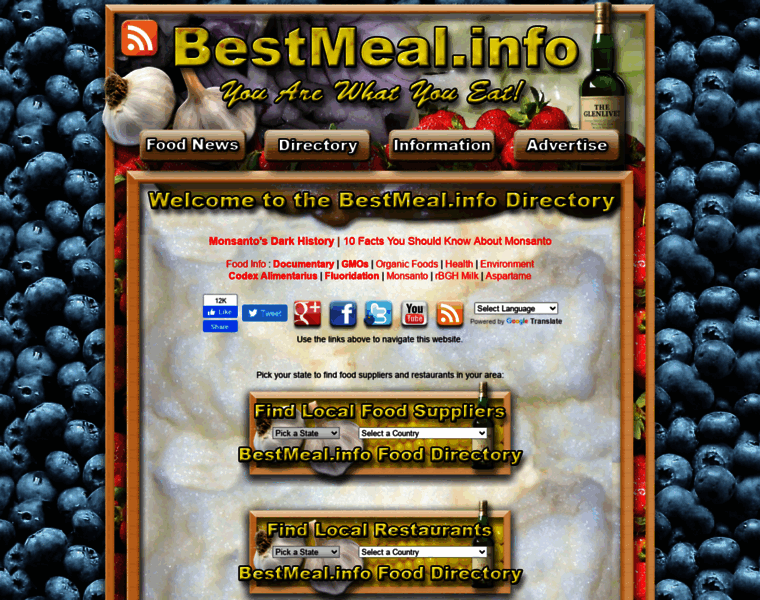 Bestmeal.info thumbnail