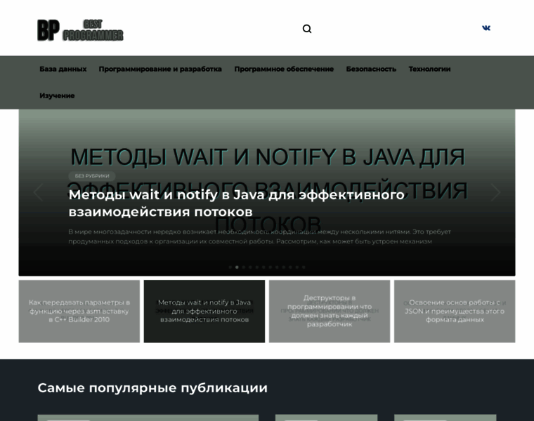 Bestprogrammer.ru thumbnail