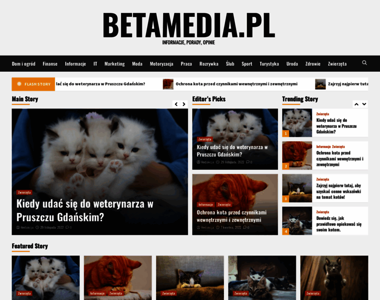 Betamedia.pl thumbnail