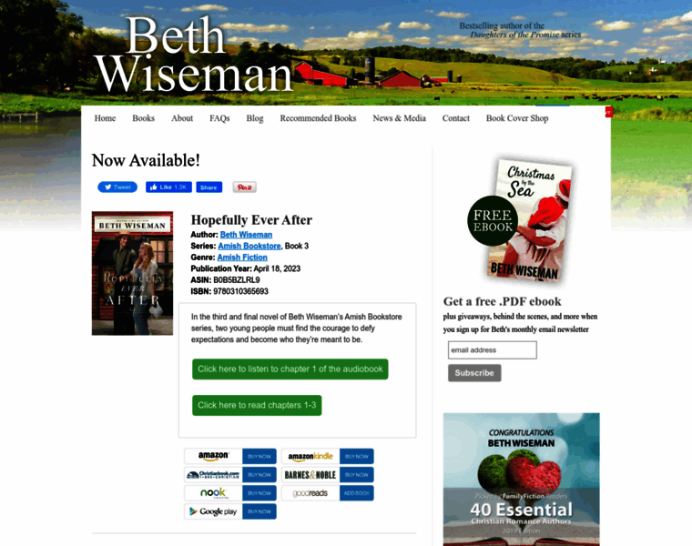 Bethwiseman.com thumbnail