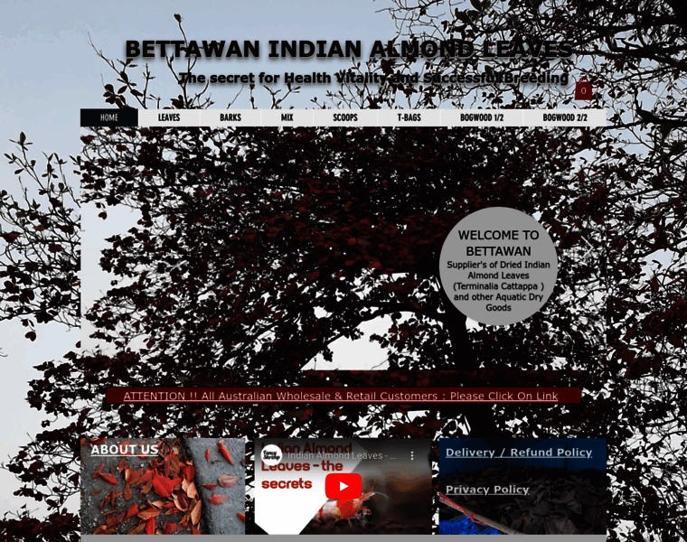 Bettawan.com thumbnail