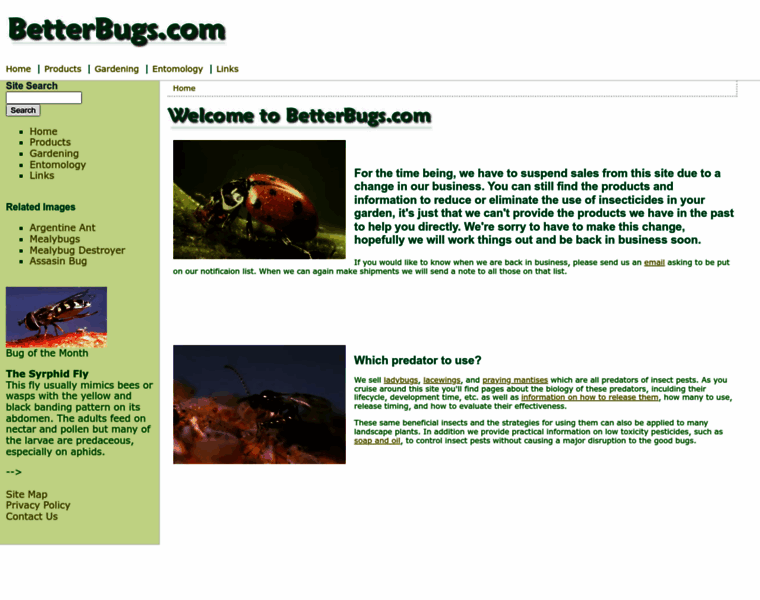 Betterbugs.com thumbnail