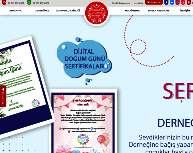 Beyazmeleklerdernegi.org.tr thumbnail