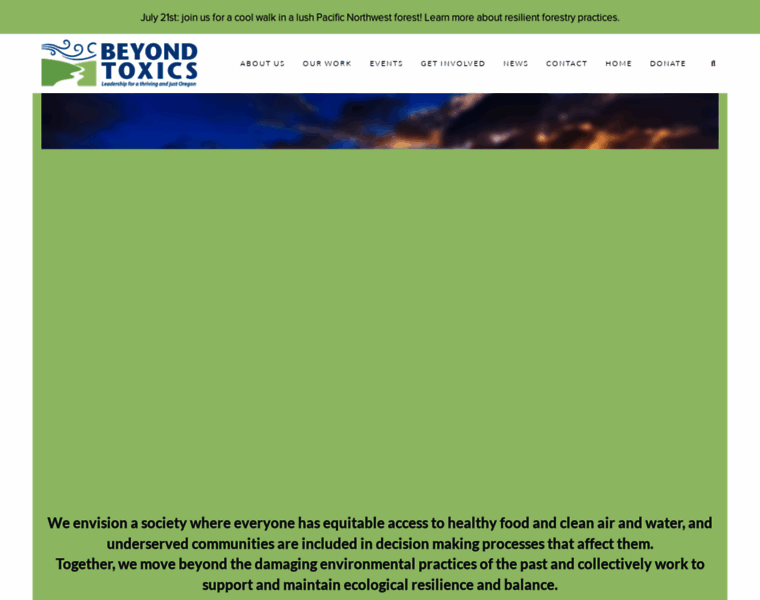 Beyondtoxics.org thumbnail