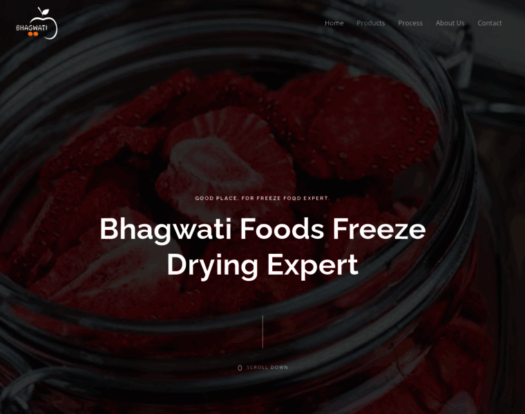 Bhagwatifoods.in thumbnail