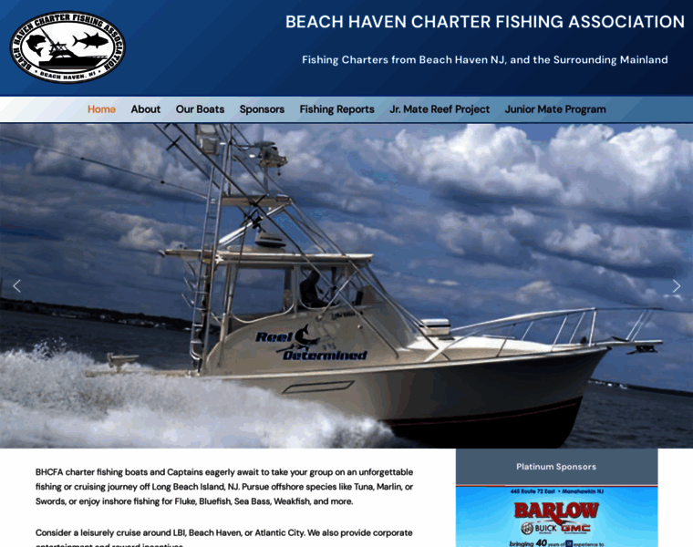 Bhcfa.net thumbnail