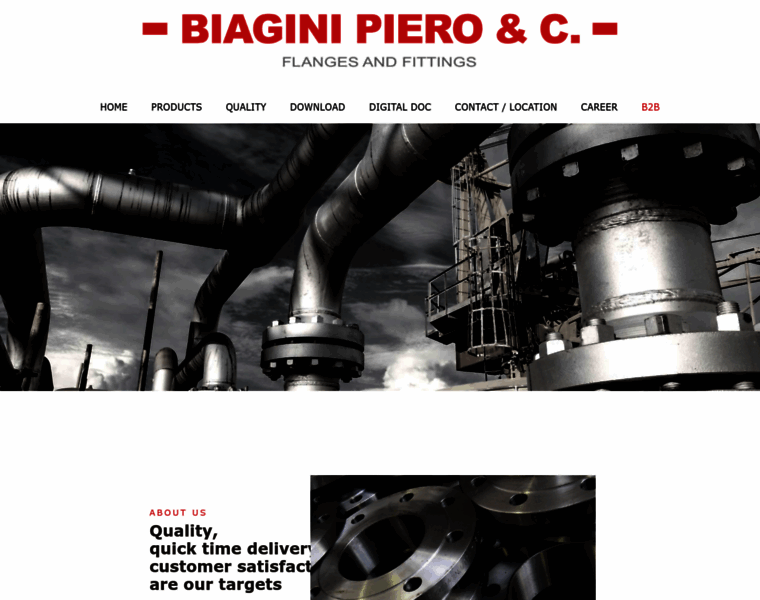 Biagini.com thumbnail