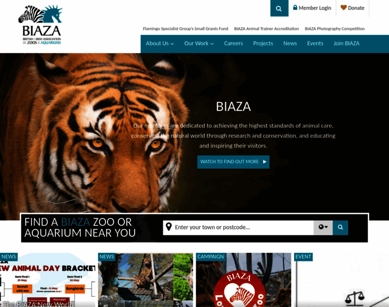 Biaza.org.uk thumbnail