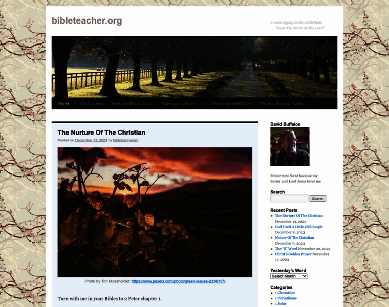 Bibleteacher.org thumbnail