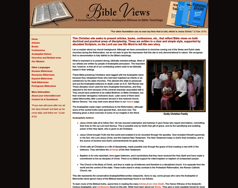 Bibleviews.com thumbnail