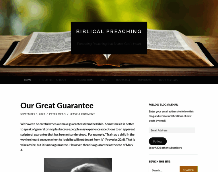Biblicalpreaching.net thumbnail
