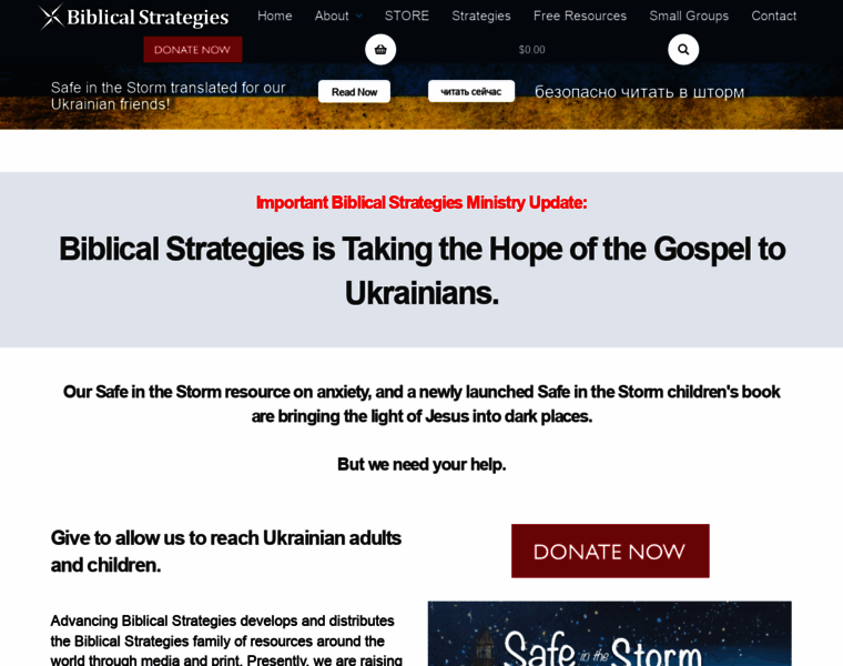 Biblicalstrategies.com thumbnail