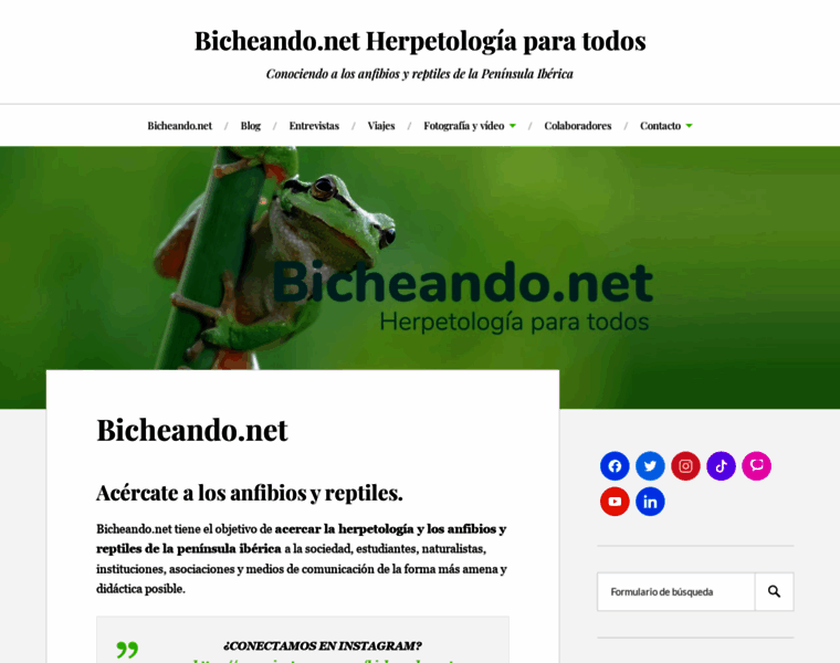 Bicheando.net thumbnail