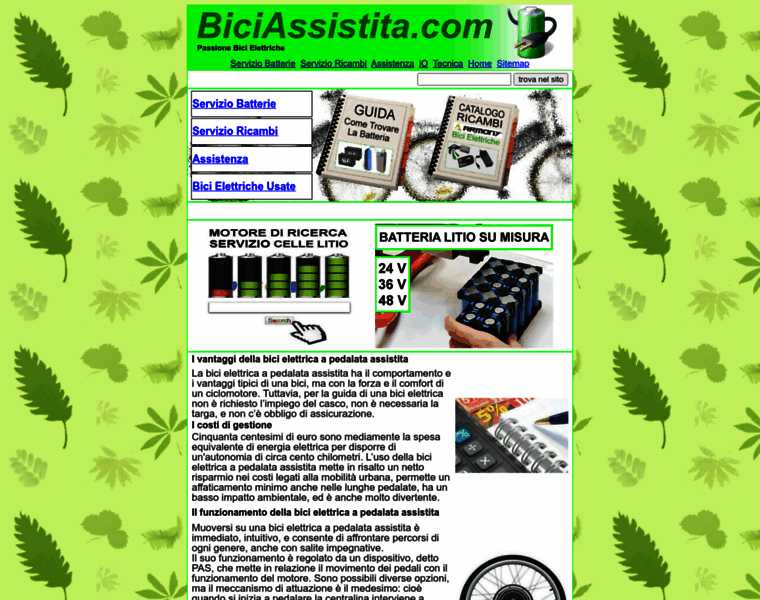 Biciassistita.com thumbnail